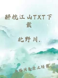 醉枕江山txt下载